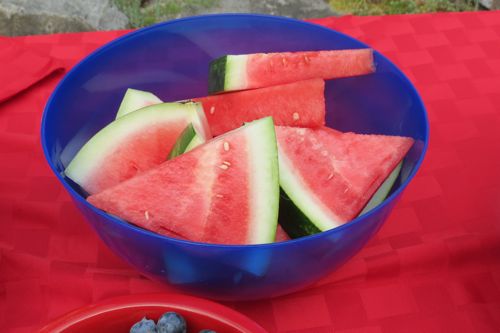 targ lg bowl
