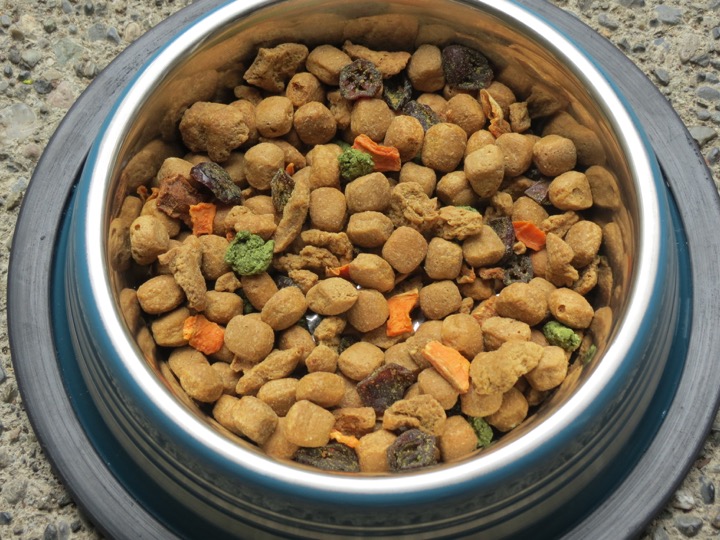 Target Freshpet Dog Food 2024 tilcara trekking