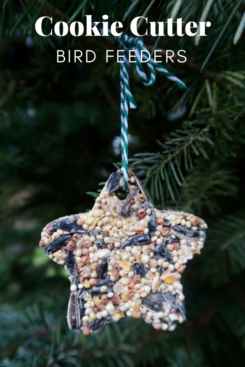 Cookie Cutter Bird Feeder With Kaytee Bird Seed All Things Target