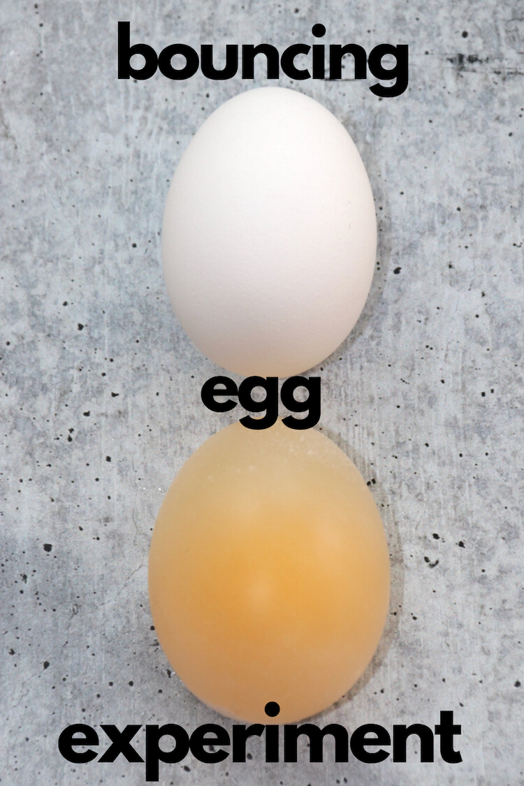 Easter Rubber Egg Experiment (aka Turn Your Egg Into a 